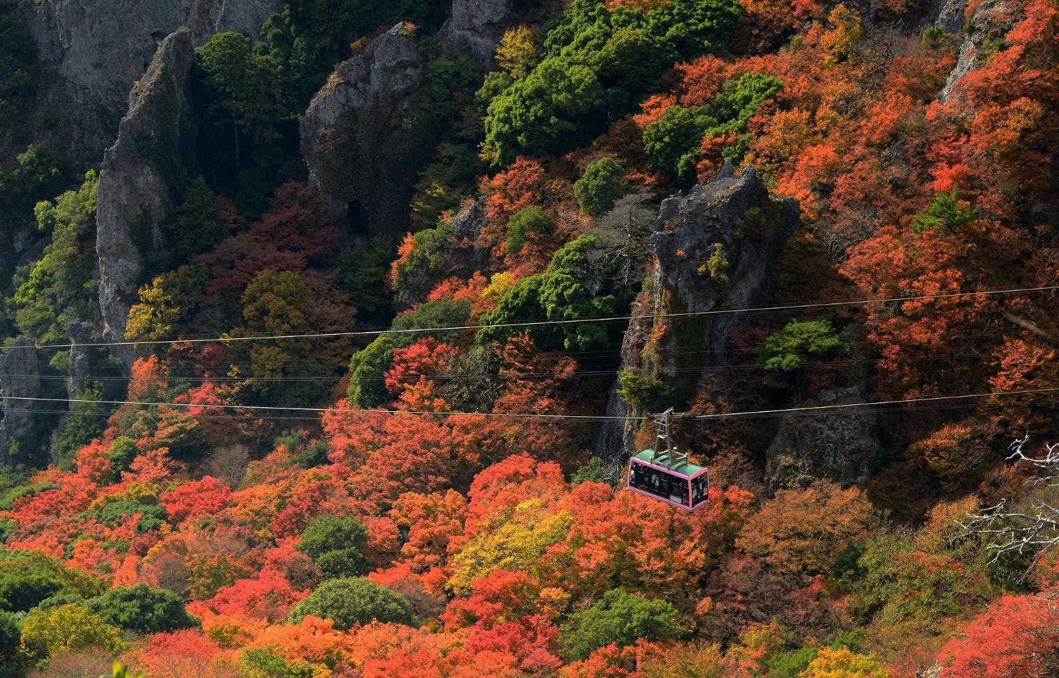 寒霞渓ロープウェイ　往復券