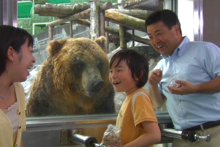 のぼりべつクマ牧場