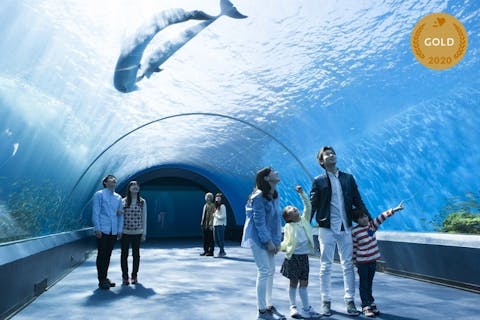 関東 おすすめ水族館まとめ 割引クーポン アソビュー