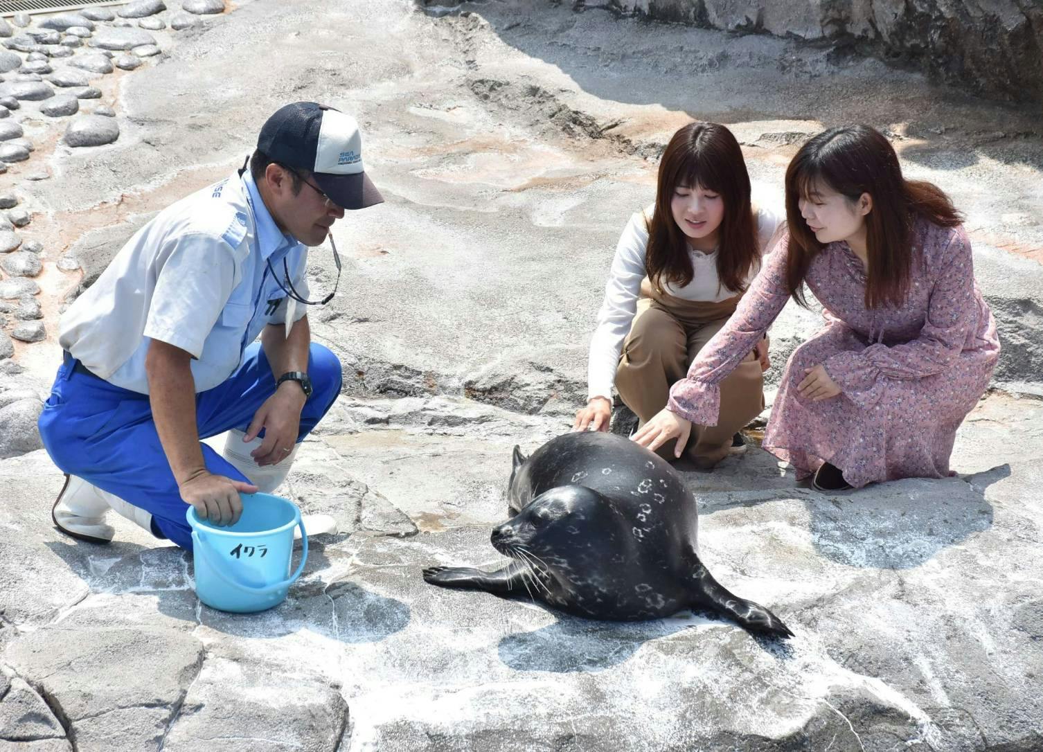 学生限定 お得に入場できる学割アクアリゾーツパス 横浜 八景島シーパラダイス