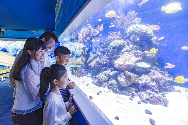 4つの水族館とアトラクションフリーパスのセット券 ワンデーパス 横浜 八景島シーパラダイス