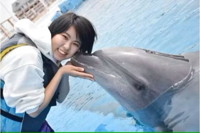 ○イルカとあそぼう～目指せ！ドルフィントレーナー～※ふれあい