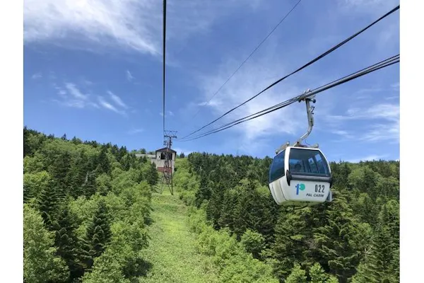 bd2a3bc7-df20-4219-9fc7-  