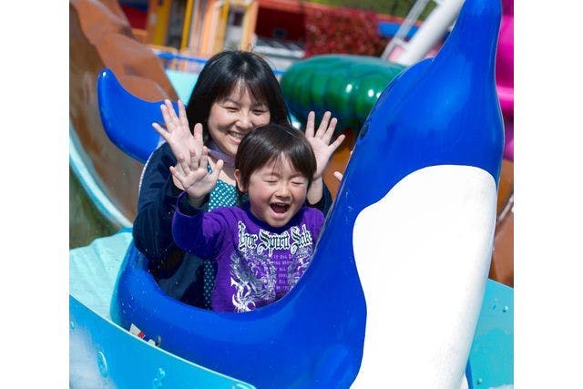 日本モンキーパーク のりもの券 - 遊園地