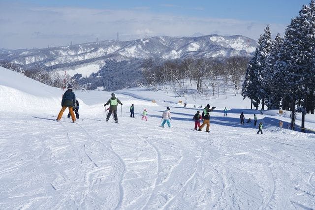 1,500円割引】ニュー・グリーンピア津南 早割パック券（大人リフト1日