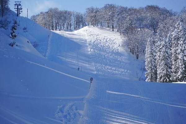 1,000円割引】ニュー・グリーンピア津南 パック券（大人リフト1日券＋