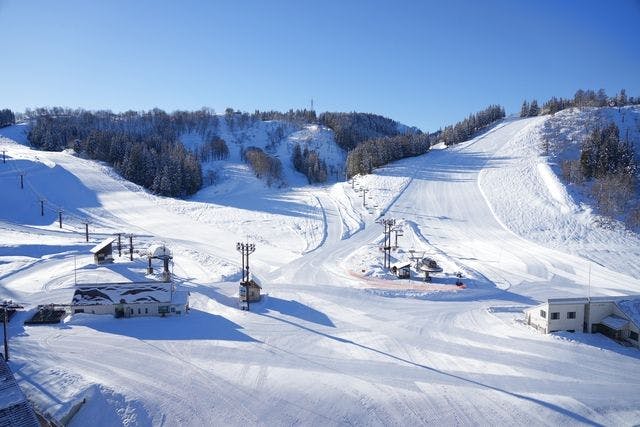 匿名 ニューグリーンピア津南スキー場　リフト1日券1枚と500円割引券5枚セット 1,100円割引パック券（大人リフト1日券＋食事券1,500円+温泉入浴券