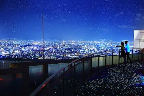 写真映え必至♪】WEB限定200円割引！空中庭園入場＋全10色から選べる