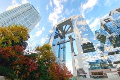 原神 テイワットツアー -空の庭と、月の祈り-』 展望台入場券+