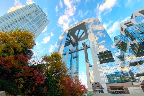 ラブライブ！虹ヶ咲スクールアイドル同好会』 ノベルティ付入場券＋