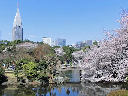 新宿 中野 杉並 吉祥寺の遊園地 テーマパーク 公園 一覧 遊び予約 レジャークーポン アソビュー