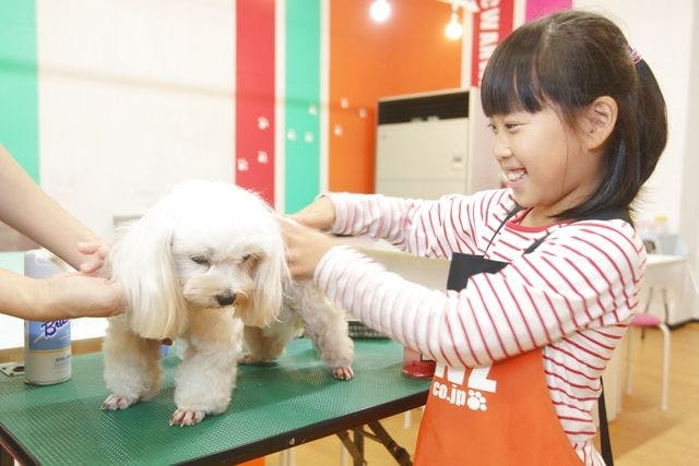 最大210円割引】IPCわんわん動物園 入館クーポン - IPCわんわん動物園