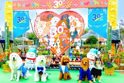 最大210円割引】IPCわんわん動物園 入館クーポン｜アソビュー！