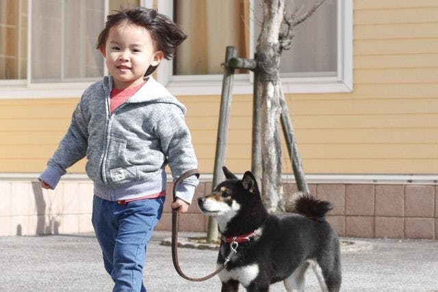 最大210円割引】IPCわんわん動物園 入館クーポン｜アソビュー！