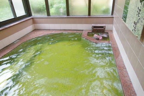 【20％割引】丹波市立薬草薬樹公園 丹波の湯 入浴クーポン