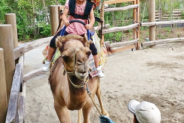 よこはま動物園ズーラシア 割引チケット クーポンならアソビュー よこはま動物園ズーラシア 割引チケット クーポンならアソビュー