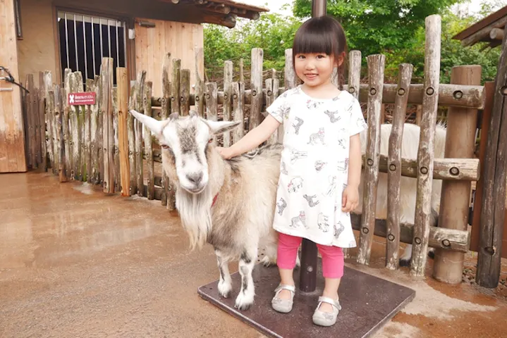 よこはま動物園ズーラシア 割引チケット クーポンならアソビュー