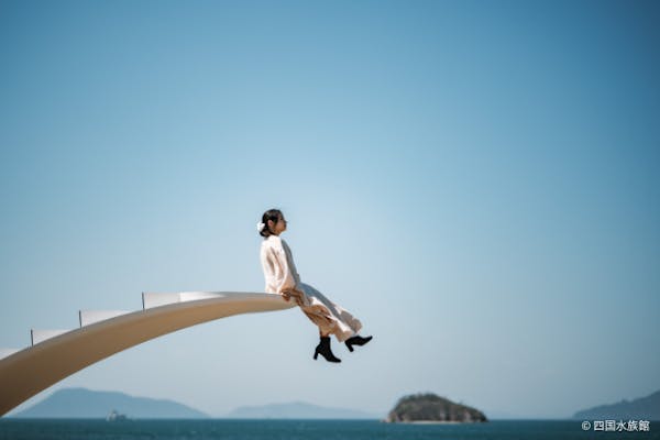 四国水族館 WEB入館券~美しき水中世界に心奪われる非日常体験~｜アソビュー！