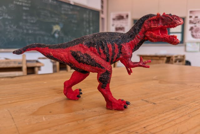 【土日祝限定】特別展＋常設展 前売り入館チケット＋恐竜フィギュア塗装体験