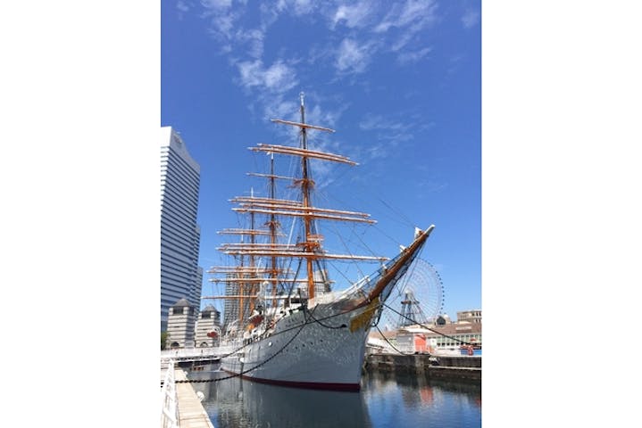 最大25 割引 1館単館券 横浜みなと博物館 柳原良平アートミュージアム アソビュー