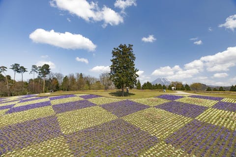 鳥取の遊園地 テーマパーク 公園 一覧 遊び予約 レジャークーポン アソビュー