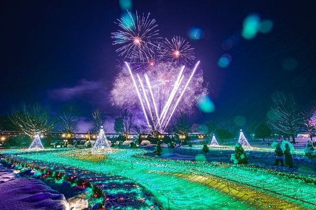 並ばず入れる！とっとり花回廊　イルミネーション入園券