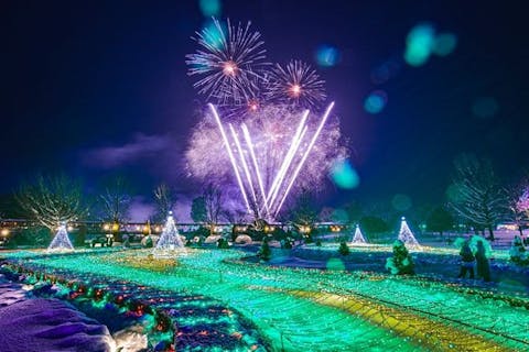 並ばず入れる！とっとり花回廊　イルミネーション入園券