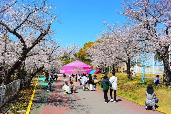 当日購入】グリーンランド遊園地フリーパスセット券【九州】｜アソビュー！