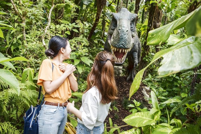 最大17%割引】御菓子御殿 名護店 やんばる亜熱帯の森DINO恐竜PARK 入園クーポン｜アソビュー！