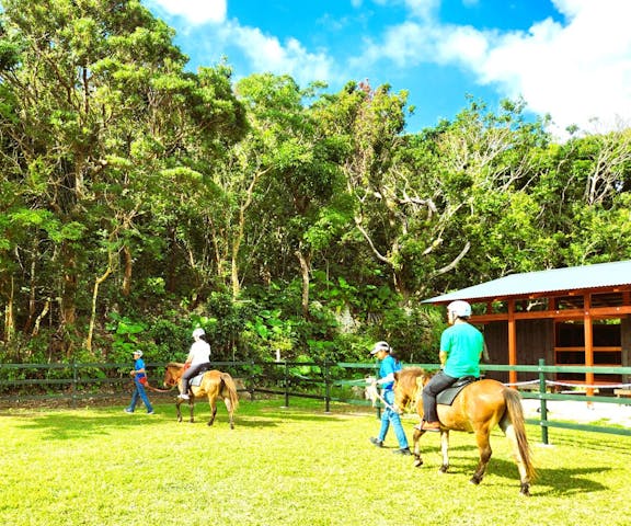 ユインチ・アクティビティ