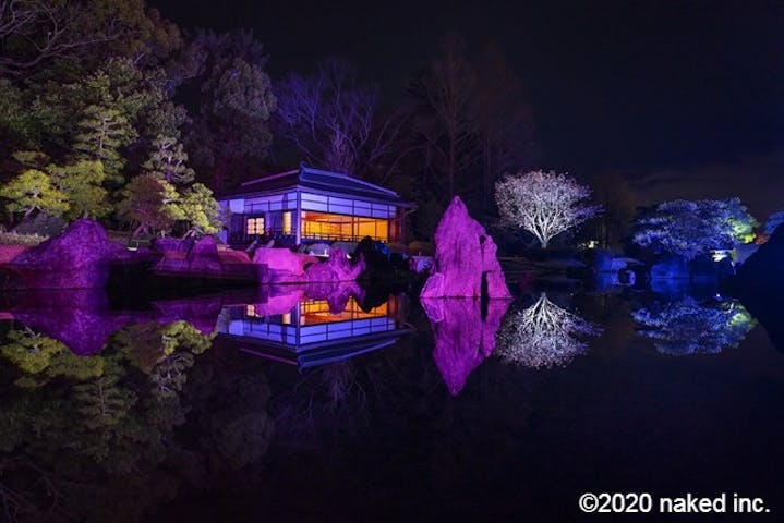 Naked Flowers 21 ー桜ー 世界遺産 二条城 割引チケット クーポンならアソビュー Naked Flowers 21 ー桜ー 世界遺産 二条城 割引チケット クーポンならアソビュー