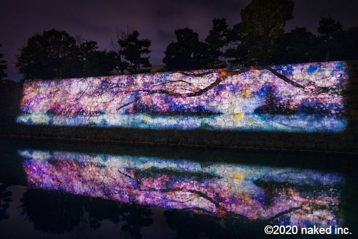 Naked Flowers 21 ー桜ー 世界遺産 二条城 割引チケット クーポンならアソビュー Naked Flowers 21 ー桜ー 世界遺産 二条城 割引チケット クーポンならアソビュー