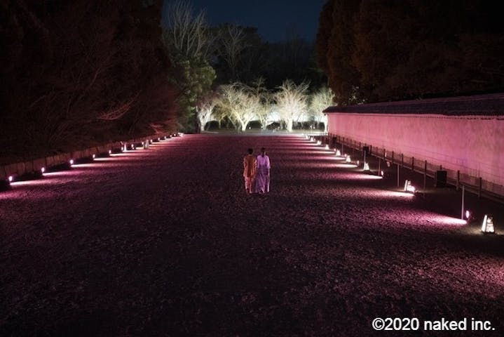 Naked Flowers 21 ー桜ー 世界遺産 二条城 割引チケット クーポンならアソビュー Naked Flowers 21 ー桜ー 世界遺産 二条城 割引チケット クーポンならアソビュー