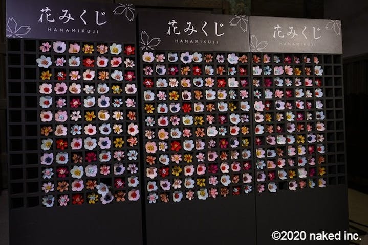 Naked Flowers 21 ー桜ー 世界遺産 二条城 割引チケット クーポンならアソビュー Naked Flowers 21 ー桜ー 世界遺産 二条城 割引チケット クーポンならアソビュー