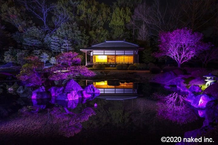 Naked Flowers 21 ー桜ー 世界遺産 二条城 割引チケット クーポンならアソビュー Naked Flowers 21 ー桜ー 世界遺産 二条城 割引チケット クーポンならアソビュー