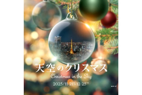 六本木ヒルズ展望台 東京シティビュー入館券