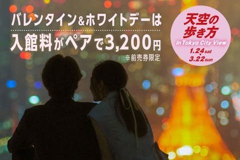 【ペアチケット】恋人たちの天空散歩『バレンタイン&ホワイトデー』六本木ヒルズ展望台