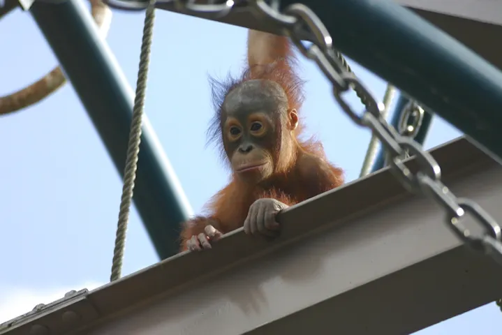 旭川市旭山動物園 割引チケット クーポンならアソビュー