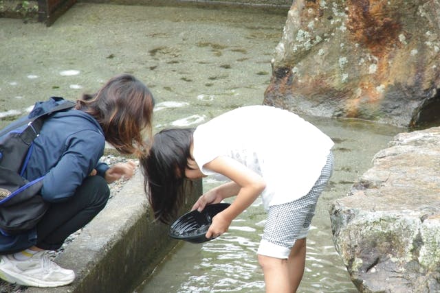 【やまぐちのアソビ新発見割・20％OFF対象】美川ムーバレー 入国料＋砂金探し体験