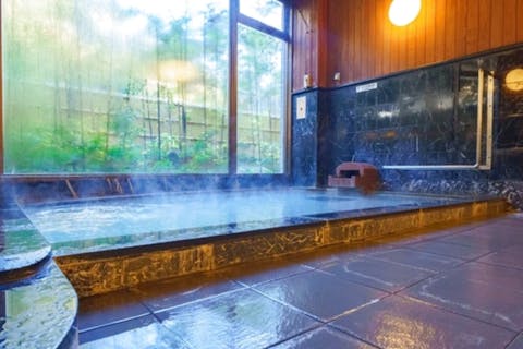 【最大450円割引】美川ムーバレー　日帰り入浴付き 入国料チケット