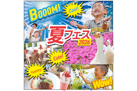 マザー牧場 入場チケット