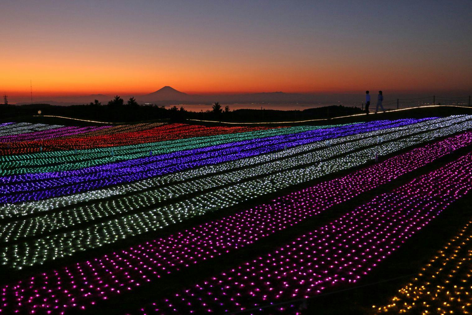 超特割！【16:00～入場可】マザーイルミ2025入場チケット※3/1迄土日祝、クリスマス、年末年始