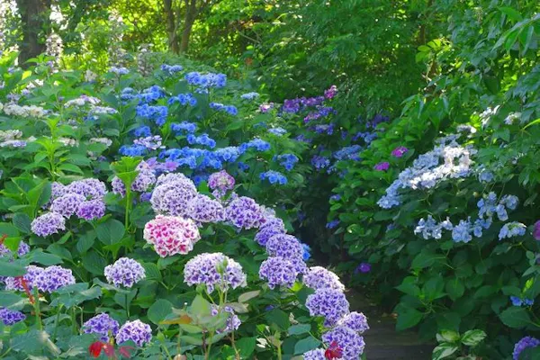 横浜イングリッシュガーデン｜割引チケット・クーポンならアソビュー！