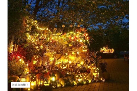 【特別イベント】横浜イングリッシュガーデン　 『ハロウィン・ナイト』入場チケット