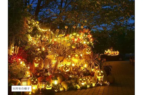 【特別イベント】横浜イングリッシュガーデン　 『ハロウィン・ナイト』入場チケット