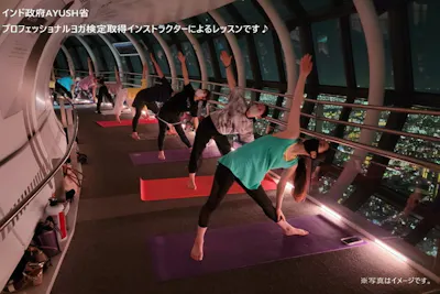 定期ヨガレッスン Skytree Yoga 入場券 アソビュー