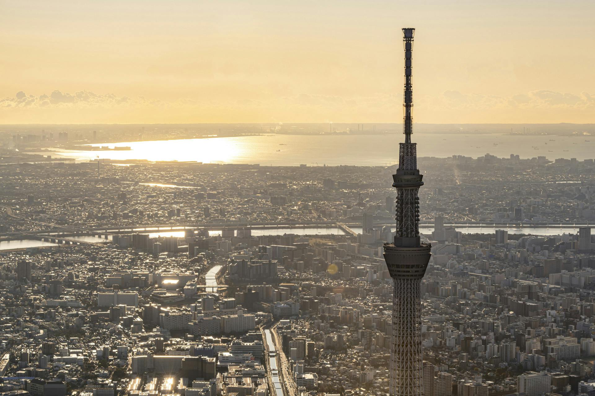 東京スカイツリー 初日の出特別営業チケットペア-