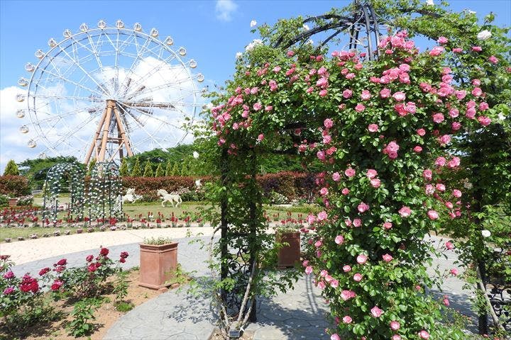 東武動物公園 ワンデーパス 入園 のりもの乗り放題 アソビュー