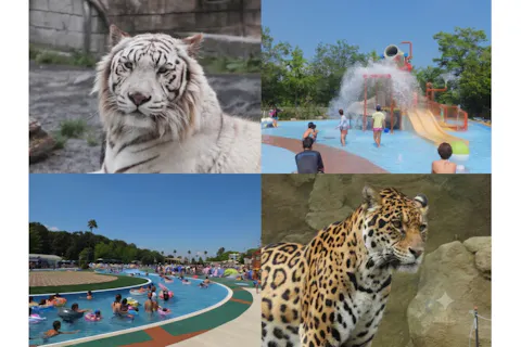 日付指定WEBチケット プール入場券付き入園券