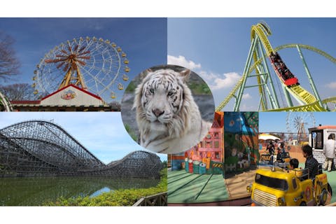 日付指定 アトラクションパスセット （入園＋アトラクション乗り放題）